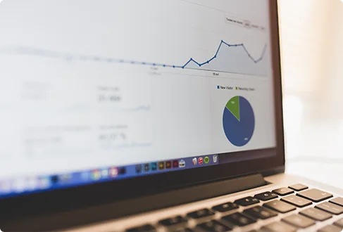 Our Comprehensive SEO Approach Is Your
                      - 博鱼