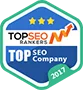 Named #1 Digital Agency in Many Countries! - 博鱼