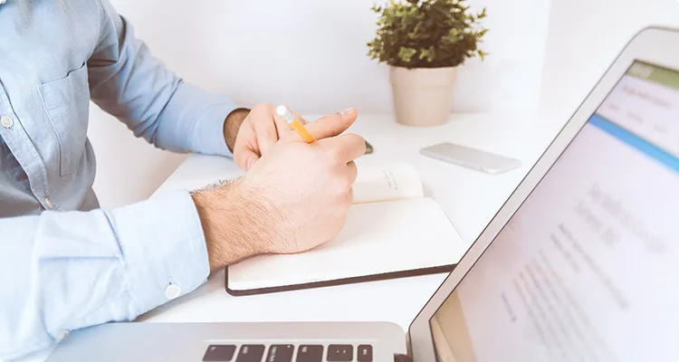 Standout New and Trending WordPress Themes - 博鱼